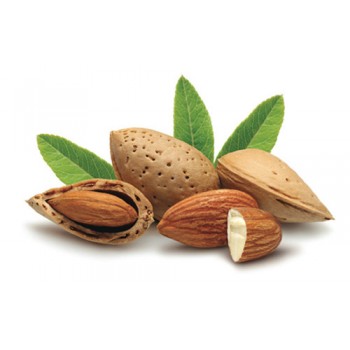 Badem Aroması ( aLMonD ) Badem Aroması ( aLMonD )