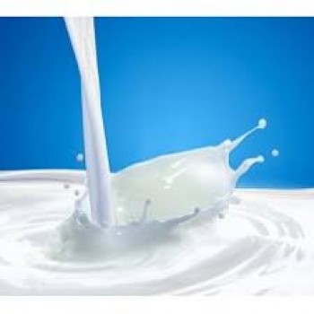 Süt Aroması ( MiLk ) Süt Aroması ( MiLk )